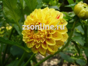 Изображение загружено обработкой по данным файла Excel