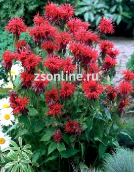 Изображение загружено обработкой по данным файла Excel