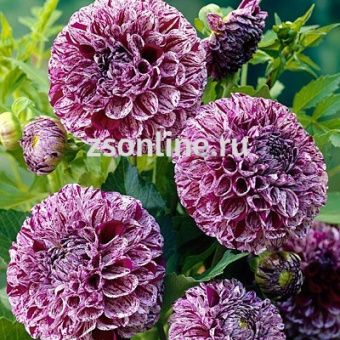 Изображение загружено обработкой по данным файла Excel