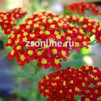 Изображение загружено обработкой по данным файла Excel