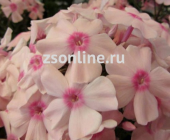 Изображение загружено обработкой по данным файла Excel