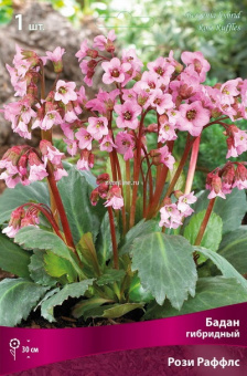 Изображение загружено обработкой по данным файла Excel