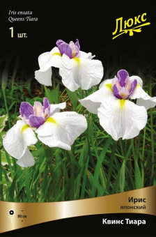 Изображение загружено обработкой по данным файла Excel