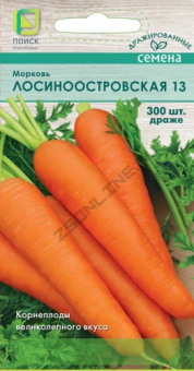 Морковь Лосиноостровская 13