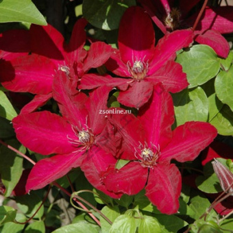 Изображение загружено обработкой по данным файла Excel