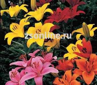 Изображение загружено обработкой по данным файла Excel