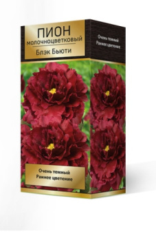 pion_moloch_black_beauty_3D