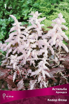 Изображение загружено обработкой по данным файла Excel