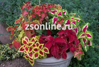 Изображение загружено обработкой по данным файла Excel