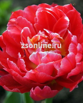 Изображение загружено обработкой по данным файла Excel