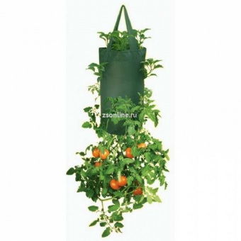 Изображение загружено обработкой по данным файла Excel