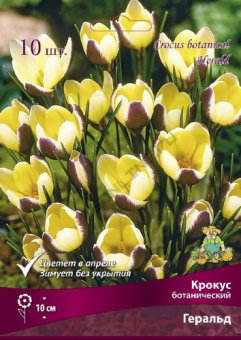 Крокус ботанический Геральд 5+/К 10шт