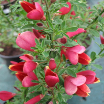 Изображение загружено обработкой по данным файла Excel