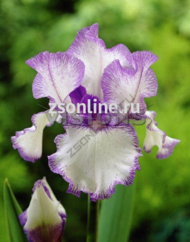 Изображение загружено обработкой по данным файла Excel