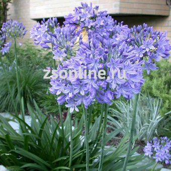 Изображение загружено обработкой по данным файла Excel