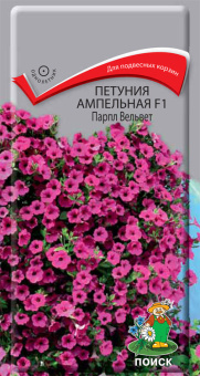 Петуния ампельная Парпл Вельвет 4шт пробирка