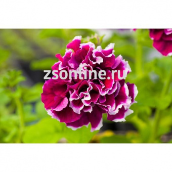 Изображение загружено обработкой по данным файла Excel