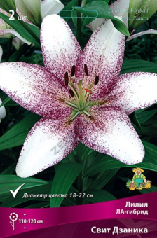 liliya_la_gibrid_swit_dzanika_kaper