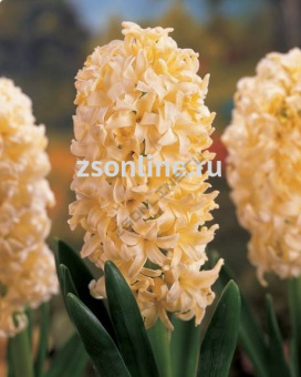 Изображение загружено обработкой по данным файла Excel