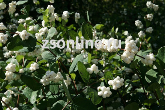 Изображение загружено обработкой по данным файла Excel