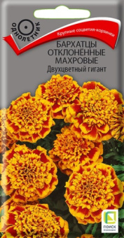 barhatsy_otklon_mahrov_dvuhcvet_gigant