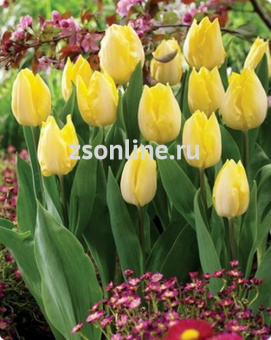 Изображение загружено обработкой по данным файла Excel