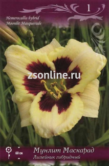 Изображение загружено обработкой по данным файла Excel