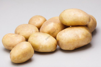 Картофель семенной Ильинский, 3 кг