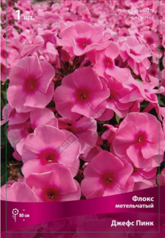 floks_metelch_jefs_pink_kaper