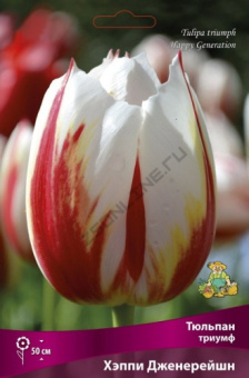Тюльпан триумф Хэппи Дженерейшн 11-12/К 10шт