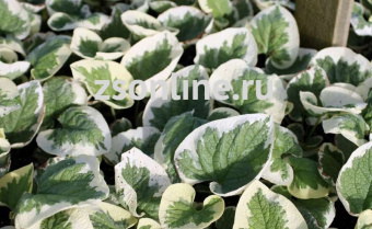 Изображение загружено обработкой по данным файла Excel