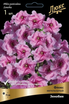 floks_metelch_zenobia_kaper