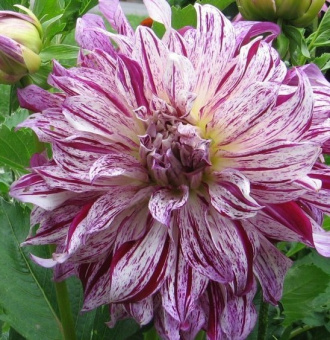 efe0b63d0c8022beac4b181099a09f43