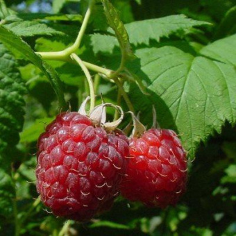 9dd8552d89c6aabf7823fa823f4a50e9