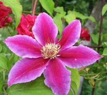 Изображение загружено обработкой по данным файла Excel