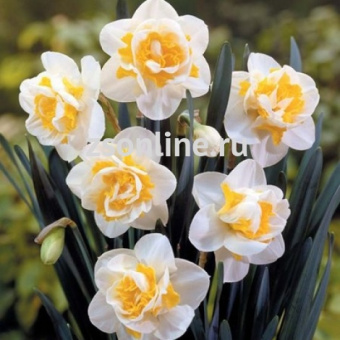 Изображение загружено обработкой по данным файла Excel