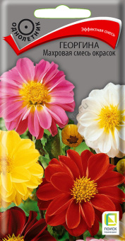 georgina_mahrov_smes_okrasok