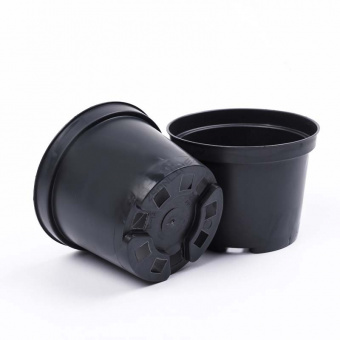 1l_litoj_izmenennyj.800x800