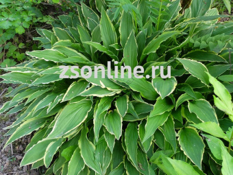 Изображение загружено обработкой по данным файла Excel