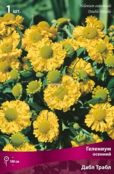 Изображение загружено обработкой по данным файла Excel