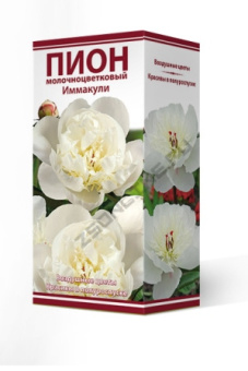 Пион молочноцветковый Иммакули (махровый, белый, диаметр цветка 18см, ранний, 1шт, 2-3)