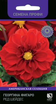 georgina_figaro_red_shades