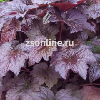 Изображение загружено обработкой по данным файла Excel