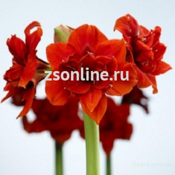 Изображение загружено обработкой по данным файла Excel