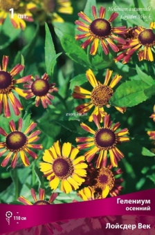 Изображение загружено обработкой по данным файла Excel