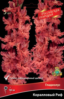 Гладиолус Коралловый Риф10-12/К, 5 шт