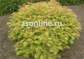 Изображение загружено обработкой по данным файла Excel