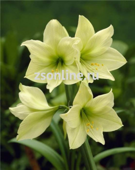 Изображение загружено обработкой по данным файла Excel