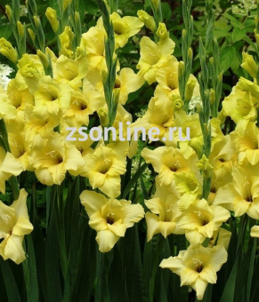 Изображение загружено обработкой по данным файла Excel