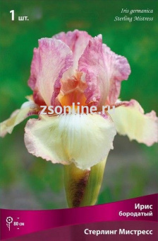 Изображение загружено обработкой по данным файла Excel